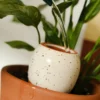Trio de mini ollas hydratantes