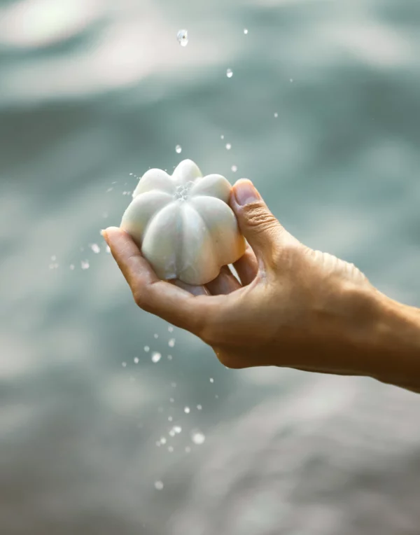 4_d502d87e-e067-4678-b197-5b2cfb4d5d0a Shampoing solide après-soleil