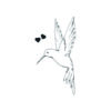 Tatouage éphémère - Lot de 5 - Colibri noir