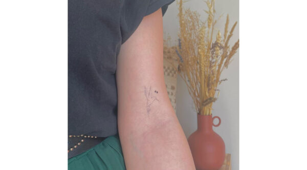 Tatouage éphémère - Lot de 5 - Colibri noir