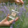 Parfum - Voyage en Provence - Arcadie florale
