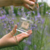 Parfum - Voyage en Provence - Arcadie florale