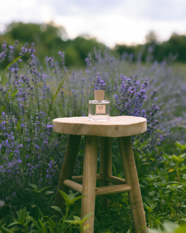 Parfum - Voyage en Provence - Arcadie florale
