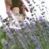 Parfum - Voyage en Provence - Arcadie florale