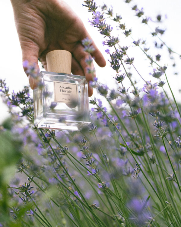 Parfum - Voyage en Provence - Arcadie florale