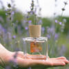 Parfum - Voyage en Provence - Arcadie florale