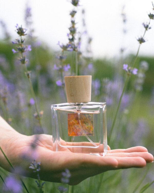 Parfum - Voyage en Provence - Arcadie florale