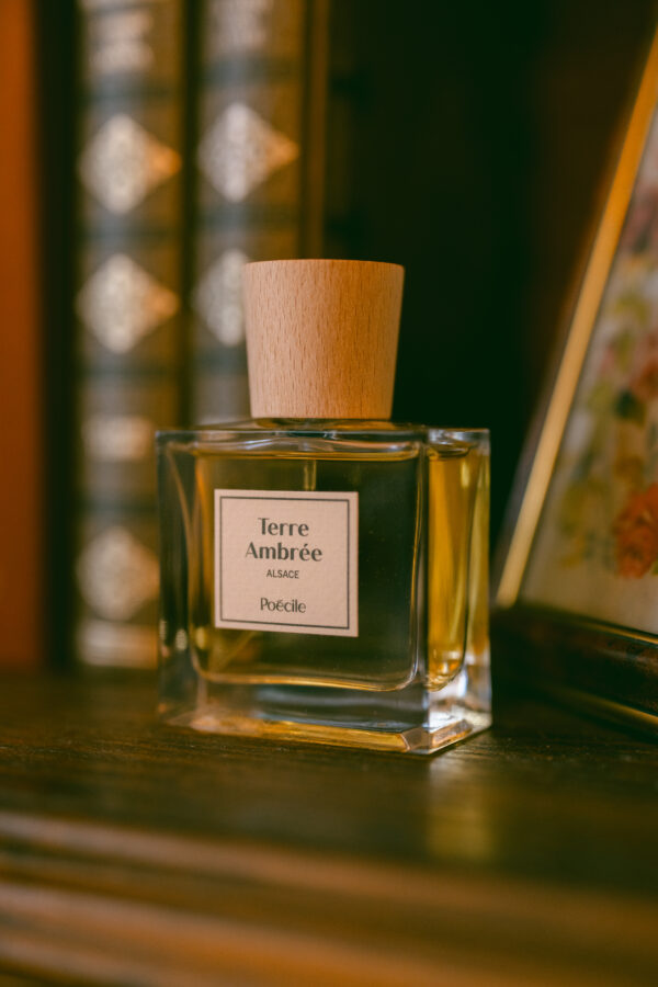 Parfum - Voyage en Alsace - Terre Ambrée