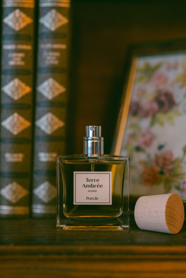 Parfum - Voyage en Alsace - Terre Ambrée