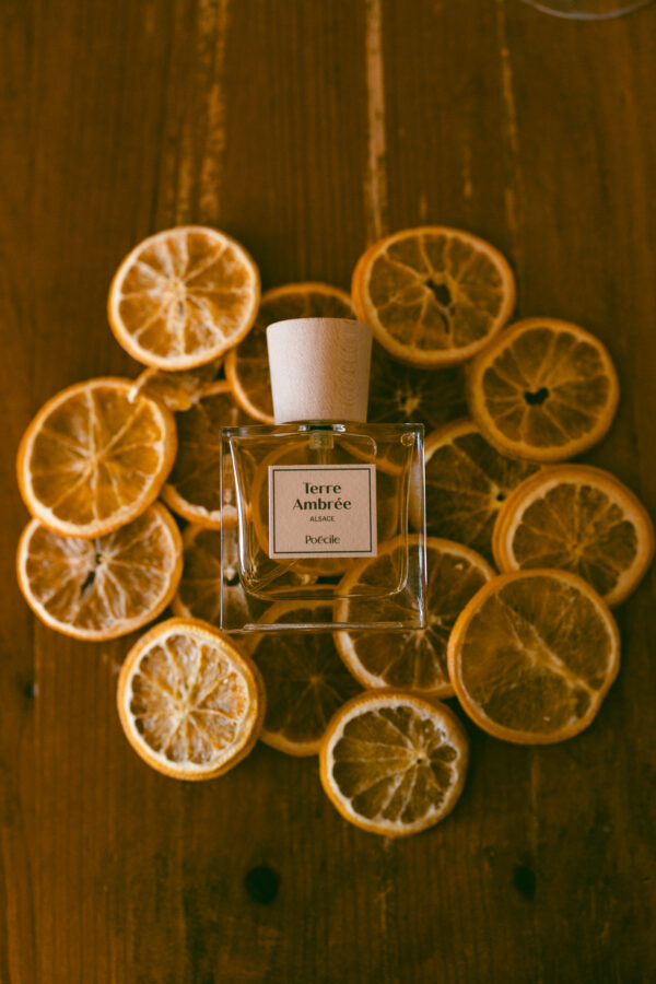 Parfum - Voyage en Alsace - Terre Ambrée