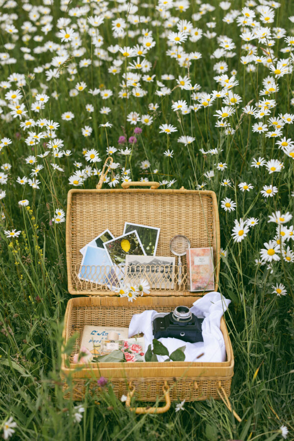 Parfum - Voyage à Paris - Rose Lutèce