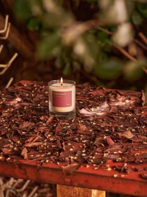 1bcd43_7d6d3a1b4096455bbd3ddb5d6ae2f7e4~mv2 Bougie parfumée - Chêne marin