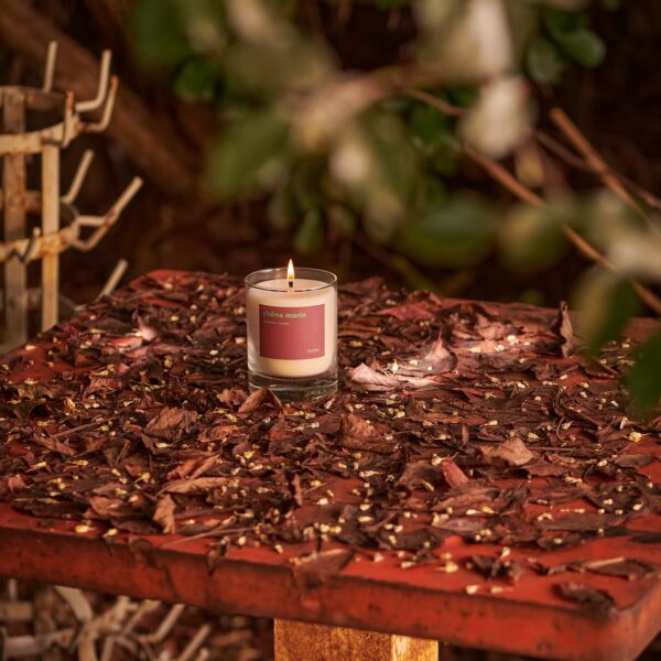 1bcd43_7d6d3a1b4096455bbd3ddb5d6ae2f7e4~mv2 Bougie parfumée - Chêne marin