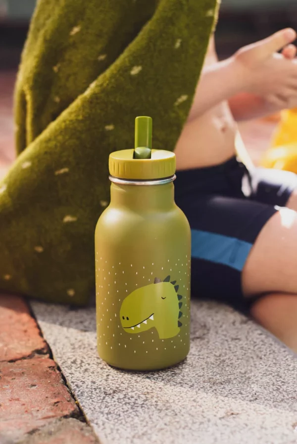 Gourde 350 ml - Mr. Dino