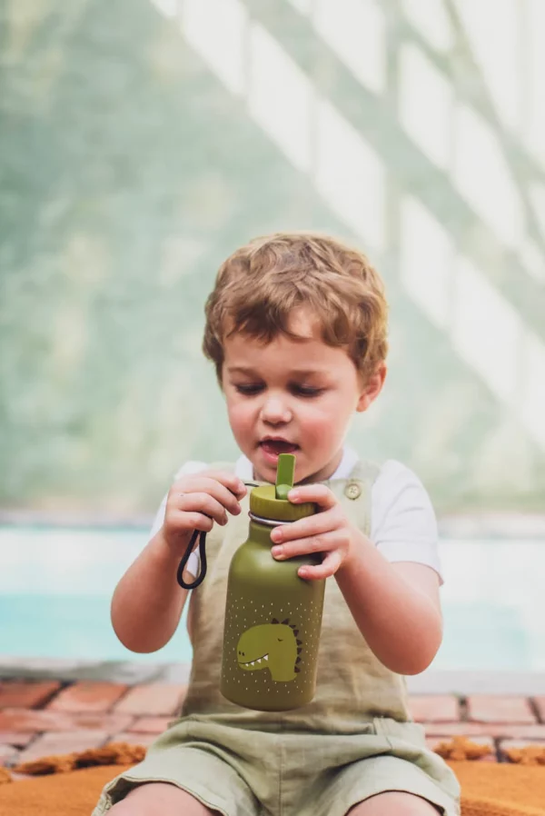 Gourde 350 ml - Mr. Dino