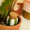 Olla hydratante