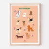 Affiche pédagogique - Les chiens