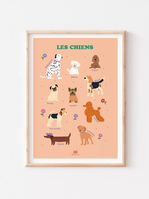 Affiche pédagogique - Les chiens