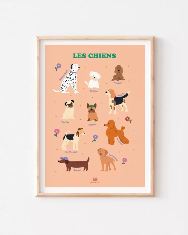 2990852-47d6bd1bd1ae1b Affiche pédagogique - Les chiens