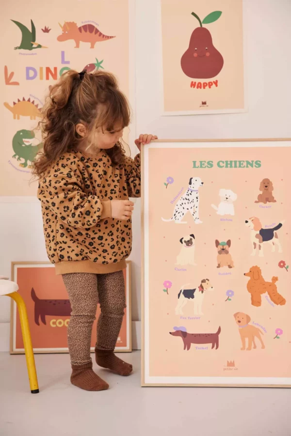 2990852-47e88a1a52d59a Affiche pédagogique - Les chiens