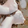 Crème définition boucles solide