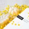 Le coffret mimosa - Shampoing et soin lavant solides