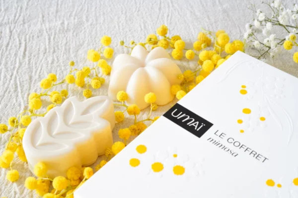 Le coffret mimosa - Shampoing et soin lavant solides