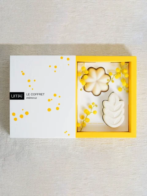 Le coffret mimosa - Shampoing et soin lavant solides