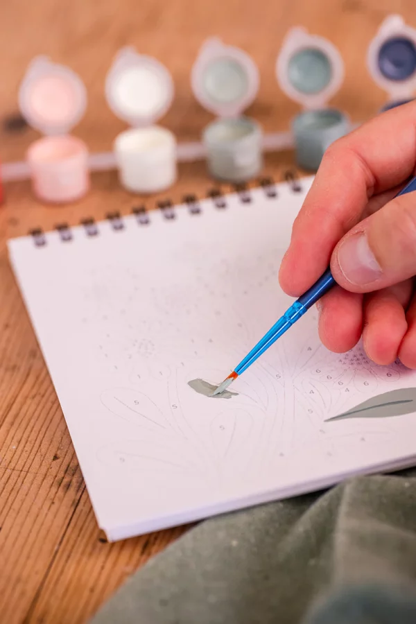 Peinture aux numéros - Fleurs des champs