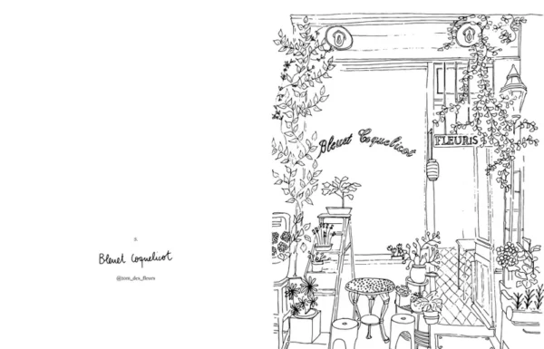 743427-001-C Carnet de coloriage - Fleurs