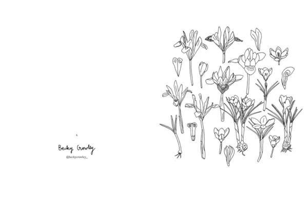 743428-001-C Carnet de coloriage - Fleurs