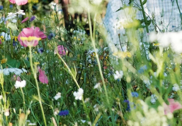 744313-001-C Livre - Les fleurs