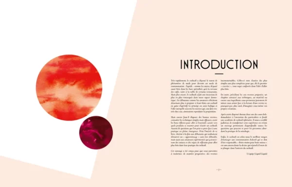 750214-001-C Livre - 100 cocktails cultes