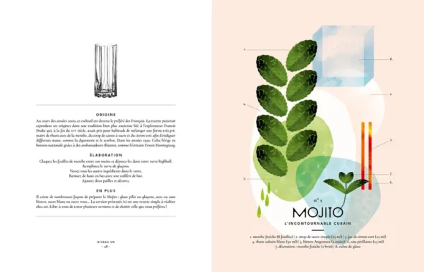 756104-001-C Livre - 100 cocktails cultes