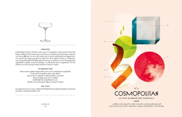 756105-001-C Livre - 100 cocktails cultes