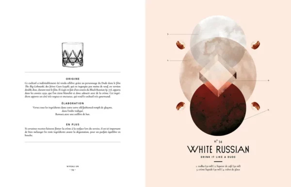 778885-001-C Livre - 100 cocktails cultes