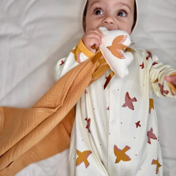 Doudou pour enfant - Nuage hirondelles