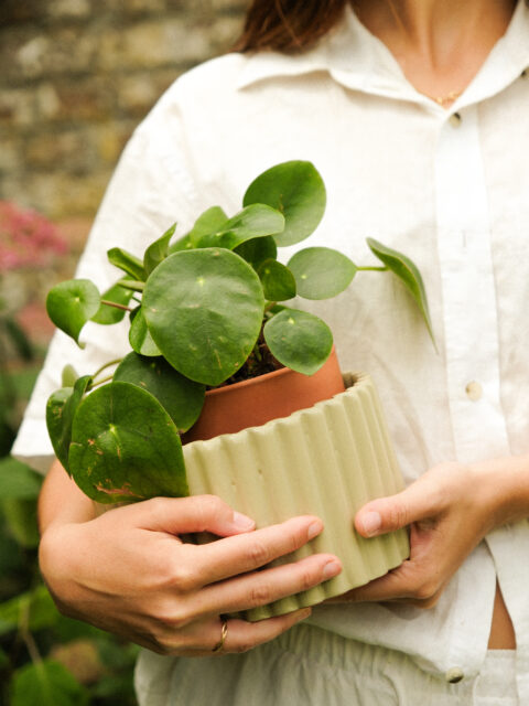 Pot autonome - Paula