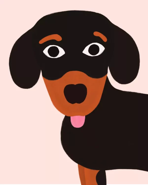 6693455-47fa7766995d0b Éventail - Teckel