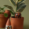 Trio de mini ollas hydratantes