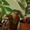 Trio de mini ollas hydratantes