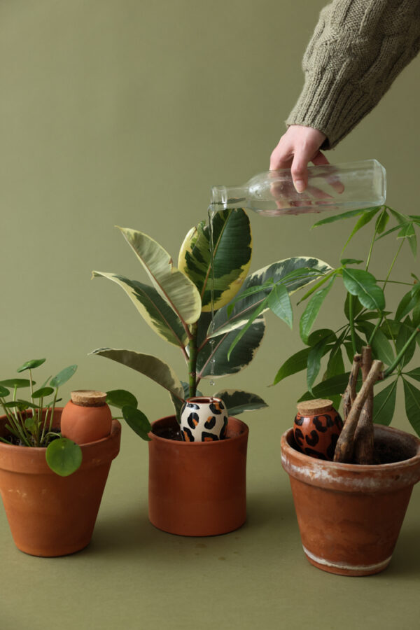 Trio de mini ollas hydratantes
