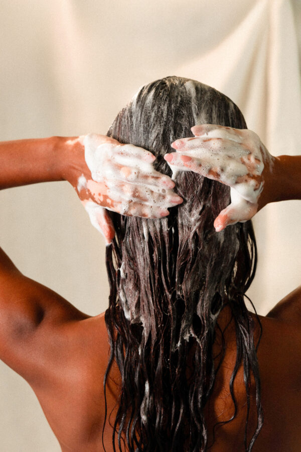 26 Shampoing solide collection - Rhubarbe & sésame